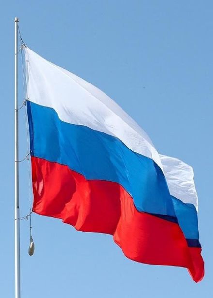 Интеллектуальная игра «Российский триколор»