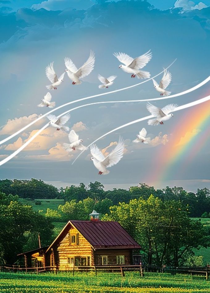 Любовь и голуби